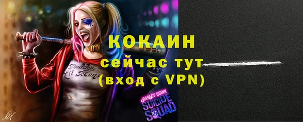 спиды Аркадак