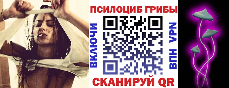 Псилоцибиновые грибы GOLDEN TEACHER  купить  цена  Спас-Деменск 